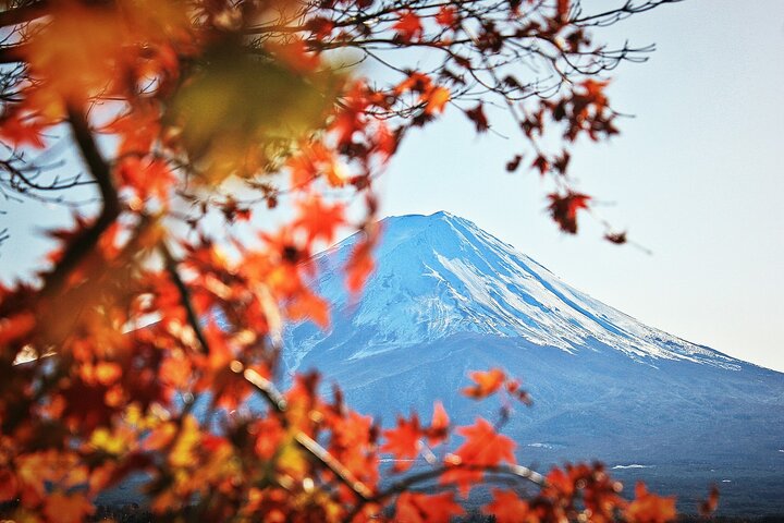 Osaka to Tokyo Bullet Train Trip with Tokyo Subway 24 hour Ticket