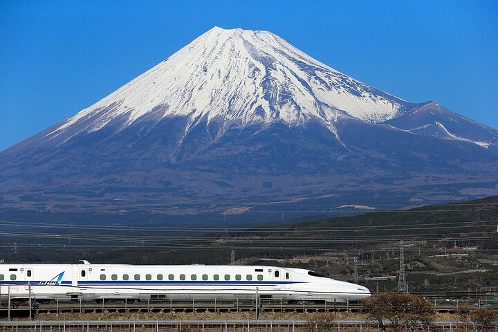 Osaka to Tokyo Bullet Train Trip with Tokyo Subway 24 hour Ticket