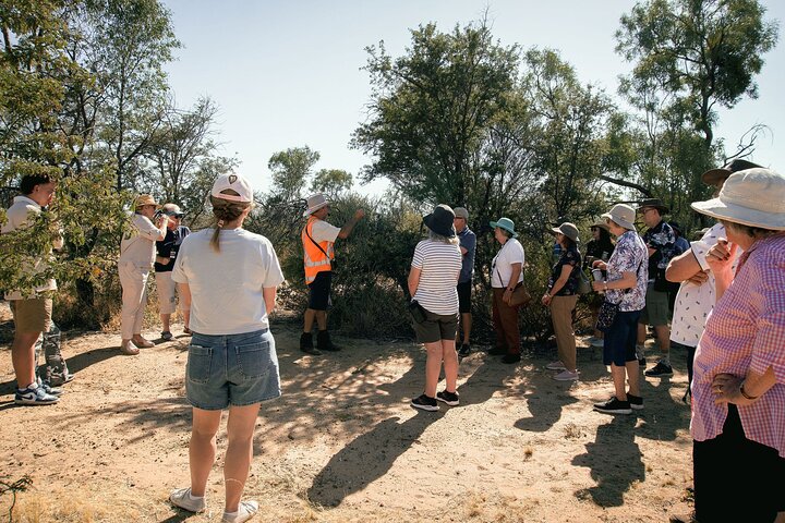 Great Darr River Rail Run in Longreach