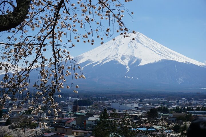 Osaka to Tokyo Bullet Train Trip with Tokyo Subway 24 hour Ticket