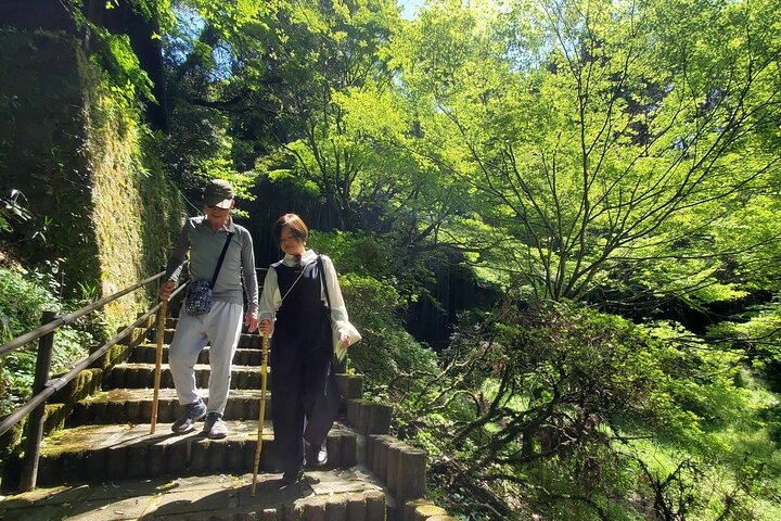 Usuki Stone Buddhas Private Day Tour