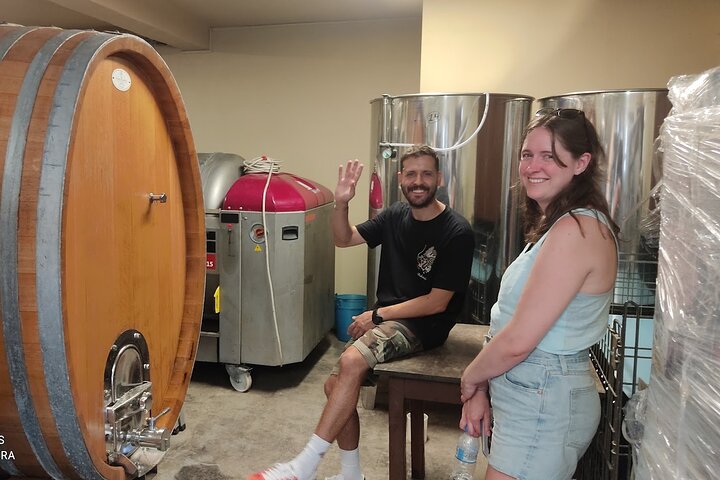 Kefalonia: Private Olive Oil, Honey & Wine Tasting Experience