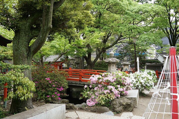 Evening Shrine and Izakaya Japanese Sake Experience Tour