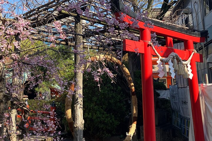 Evening Shrine and Izakaya Japanese Sake Experience Tour