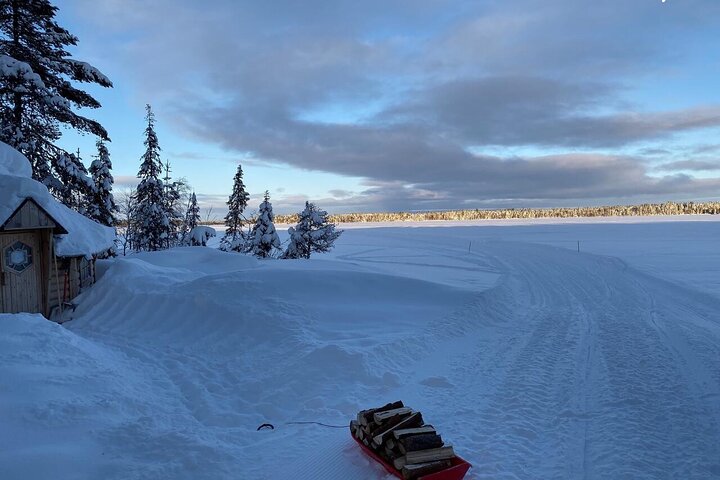 Northern Lights Kick Sled Adventure with Reindeer and Kota