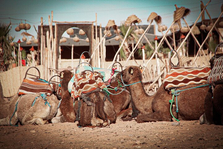 Marrakech: Agafay Desert Quad Biking & Camel RIDE & Dinner & Show
