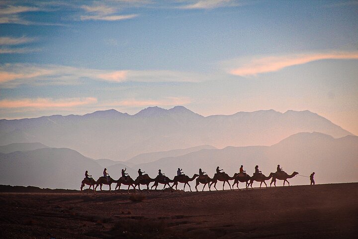 Marrakech: Agafay Desert Quad Biking & Camel RIDE & Dinner & Show