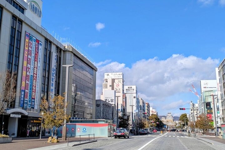Himeji Castle: 2Hour Premium World Heritage & Samurai Tour