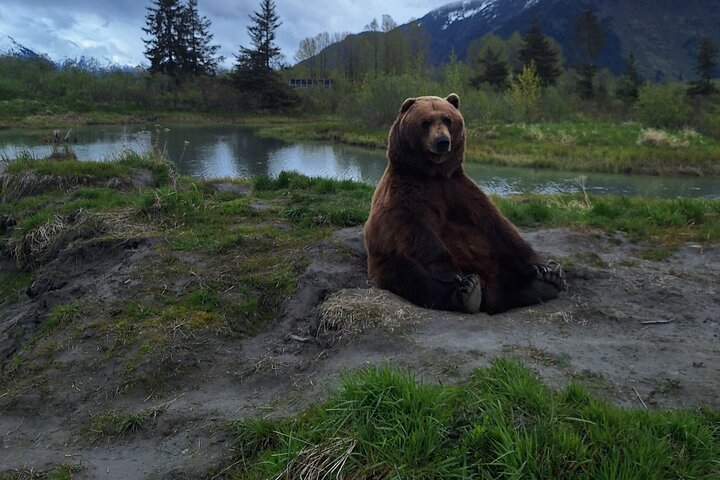 Turnagain Arm, Wildlife Center & Glaciers: Small-Group Tour
