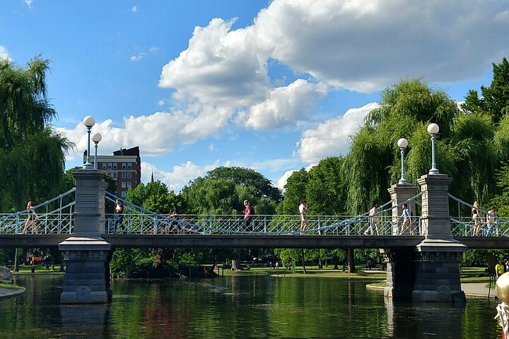 Washington D.C. ,Niagara Falls 5-Day Tour from New York