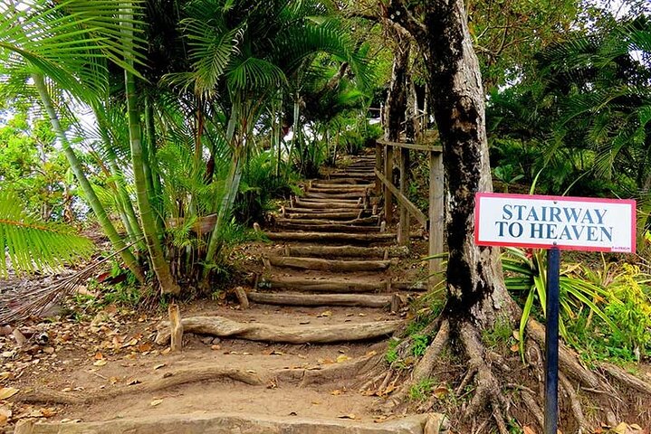 St Lucia Tet Paul Nature Trail and Sulphur Springs Tour