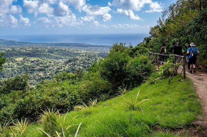 St Lucia Tet Paul Nature Trail and Sulphur Springs Tour