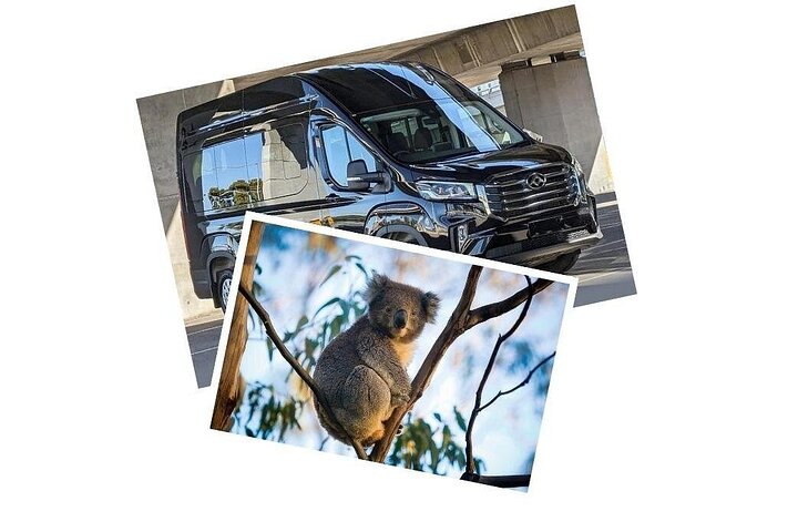 Great Ocean Road Reverse SUNRISE TOUR–SML GRP-DLX BUS Hotel Pikup