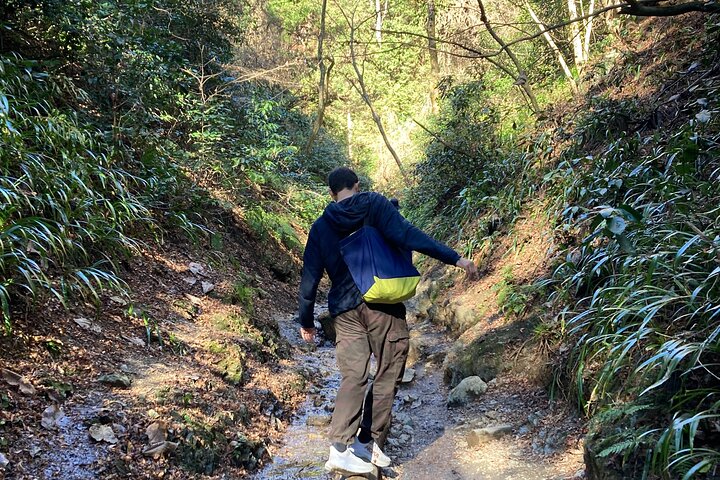 Full Day Hiking Tour at Mt.Takao including Hot Spring
