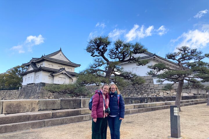 Osaka Private Tour: One Day Highlights