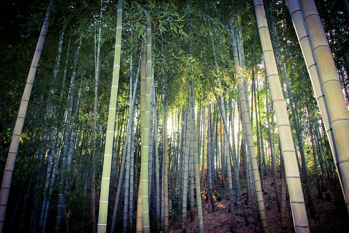 Guided Tour of Nagoya by Car