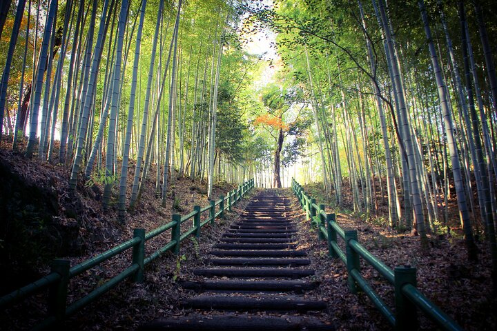 Nagoya: all-inclusive car tour to Korankei valley