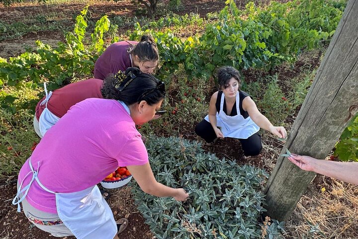 Ostuni : family cooking class in our country house