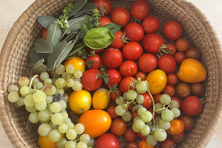 Ostuni : family cooking class in our country house