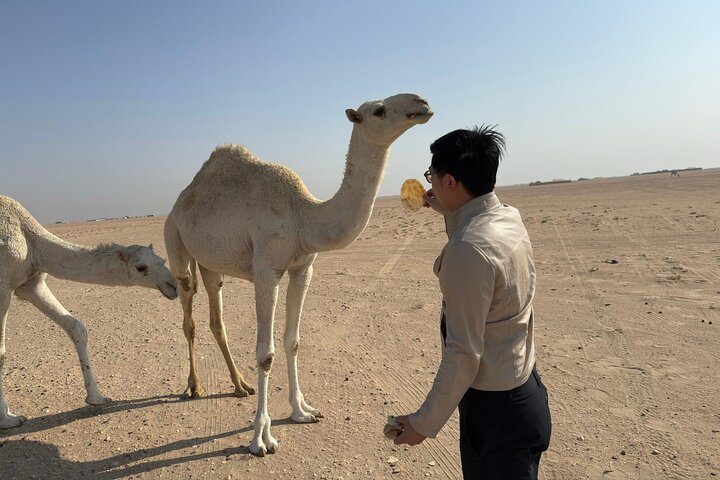 Kuwait: Half-Day City & Desert Tour with Pick-Up & Drop-Off