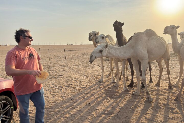 Kuwait: Half-Day City & Desert Tour with Pick-Up & Drop-Off