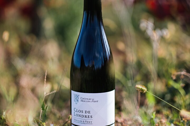 Castle of the Windmill a history of terroirs