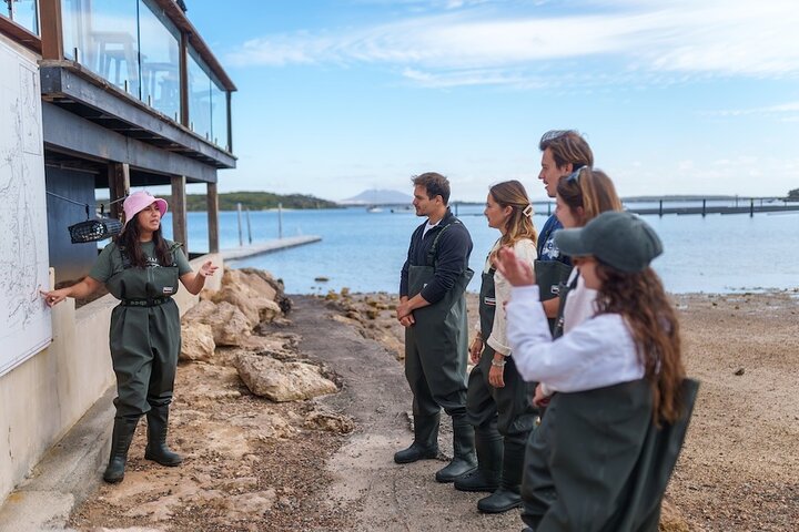 Coffin Bay Oyster Farm Wading Tour & Tasting Experience