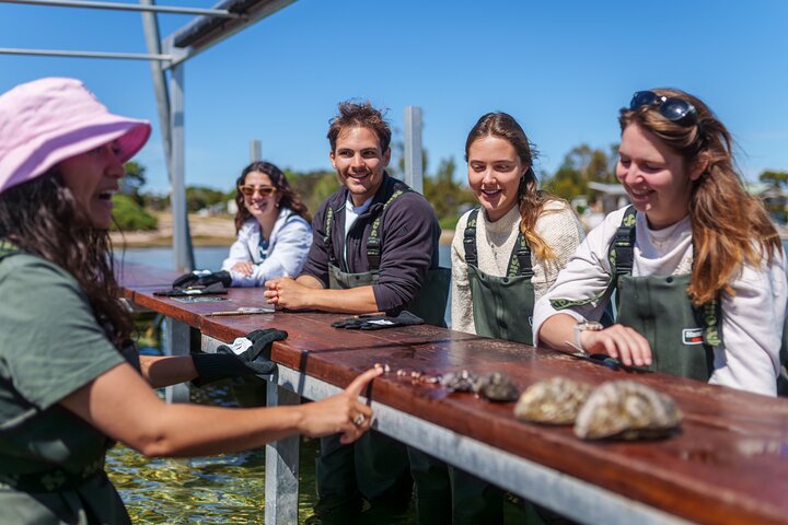 Coffin Bay Oyster Farm Wading Tour & Tasting Experience