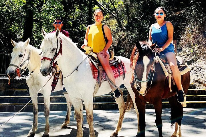 The best tour to "Tail of Horse" + Guide + transportation + Tickets