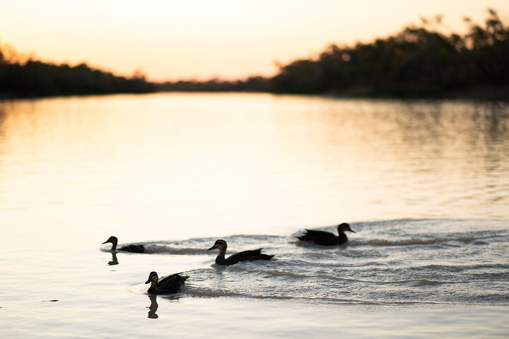 Drover's Sunset Cruise incl. Smithy's Dinner & Show in Longreach