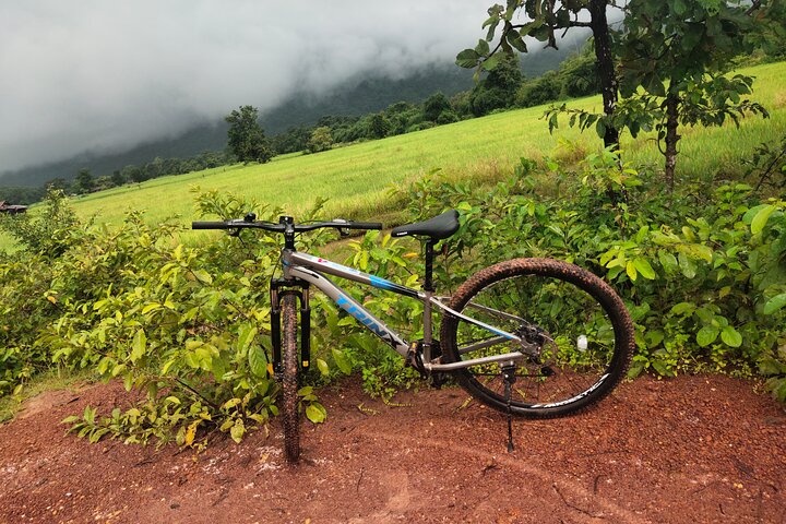 Discover Champasak’s Lush Landscapes and Ancient History by Bike