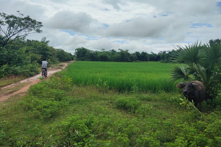 Discover Champasak’s Lush Landscapes and Ancient History by Bike