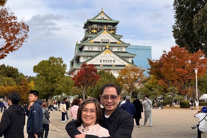 Osaka Private Tour: One Day Highlights