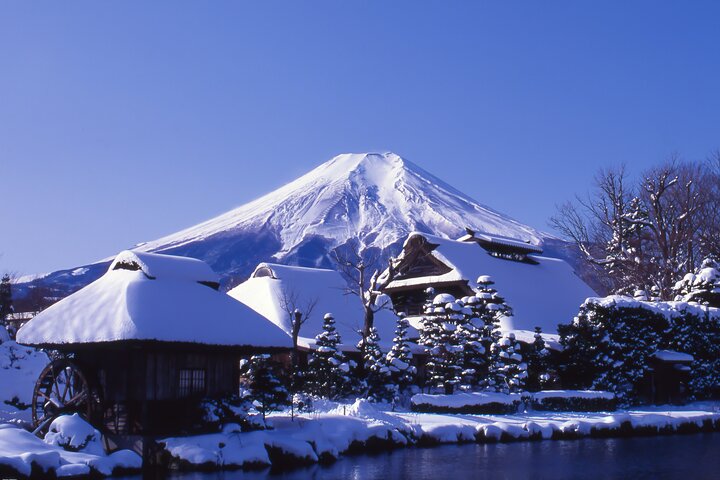 Mount Fuji Full Day Sightseeing Tour from Tokyo