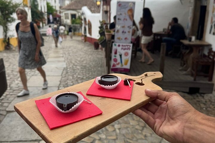 Porto to Lisbon Up to 4 Stops: Aveiro, Nazare, Fatima & Obidos