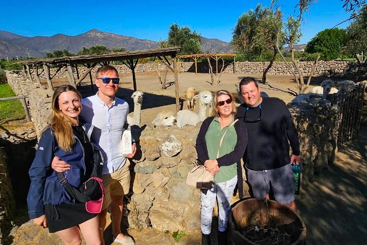 Santiago: Valparaiso, Viña del Mar & Casablanca Wine Tour