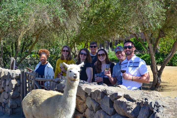 Santiago: Valparaiso, Viña del Mar & Casablanca Wine Tour