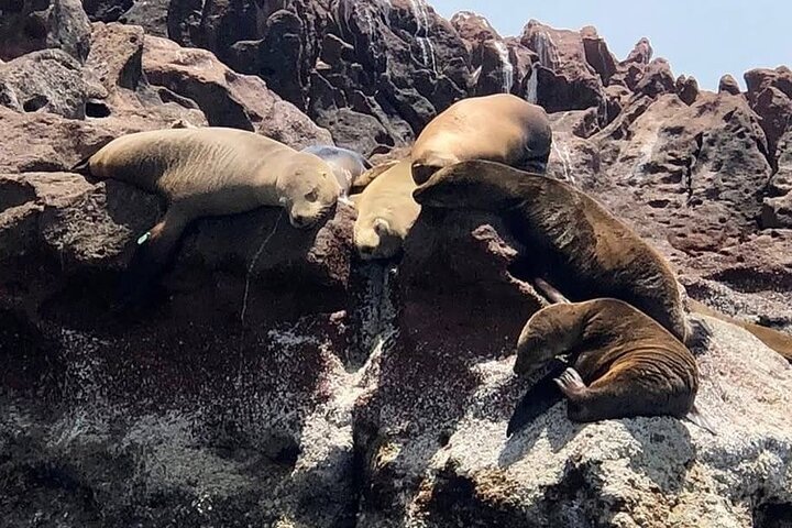 Espiritu Santo Island Tour