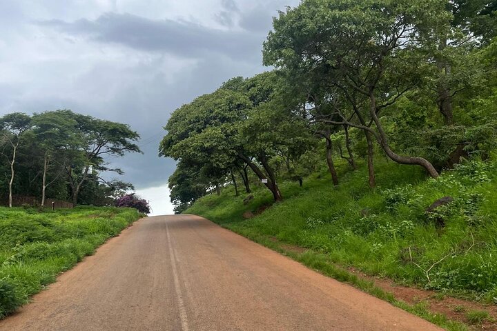 Private Harare Wildlife Tour: Lion Park, Bird park & Snake Park
