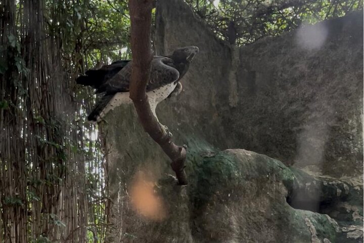 Private Harare Wildlife Tour: Lion Park, Bird park & Snake Park