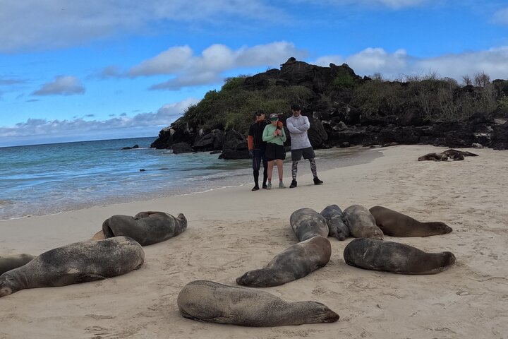 Rent E Bikes San Cristobal Galapagos Tour