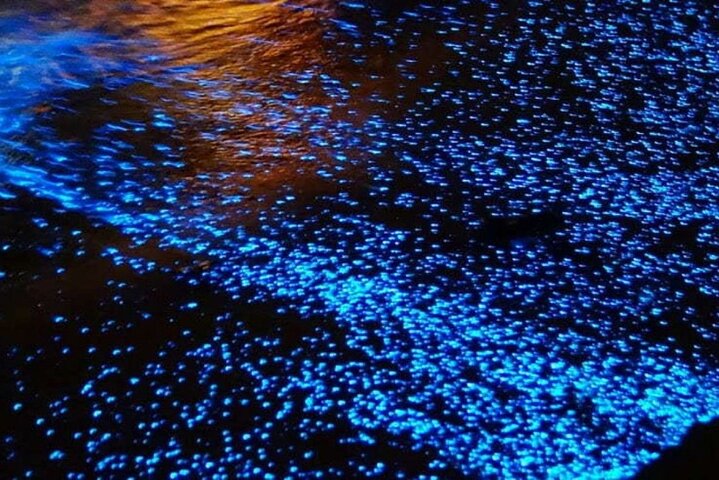 Tortuga Island Sunset and Bioluminescence Tour from Santa Teresa
