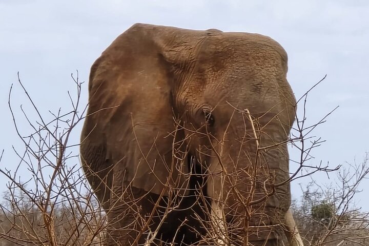 1 Day Tsavo East and West Extreme Wildlife Safari Adventure
