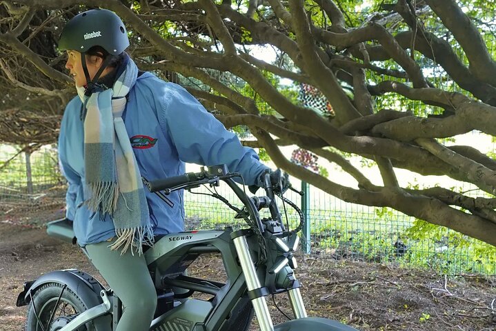 Premium Electric Segway Rentals in Punta Arenas