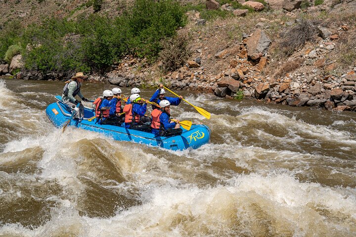 Bighorn Sheep Canyon Whitewater Rafting – Families & Beginners