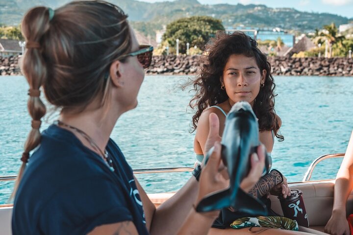 Guided Small Group Whale Watching and Swim Tour Tahiti