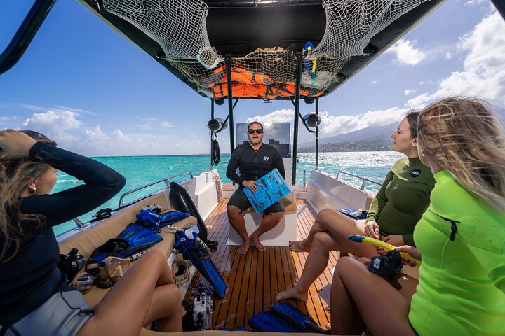 Guided Small Group Whale Watching and Swim Tour Tahiti