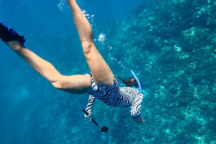 Guided Small Group Whale Watching and Swim Tour Tahiti