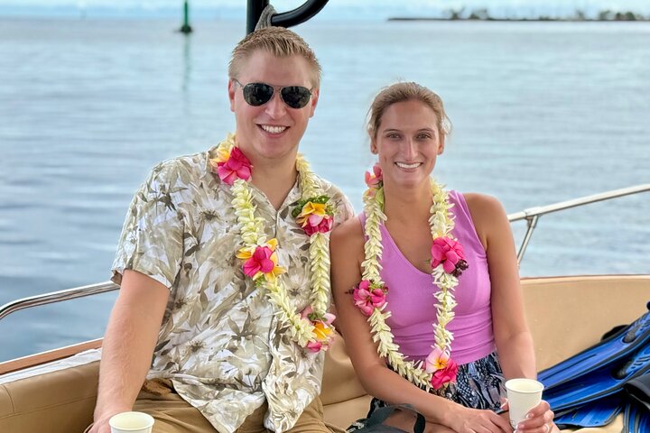 Guided Small Group Whale Watching and Swim Tour Tahiti