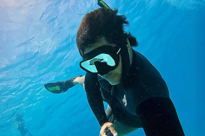 Guided Small Group Whale Watching and Swim Tour Tahiti
